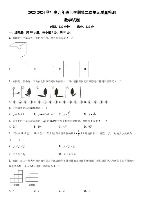 山东省枣庄市滕州市滕州育才中学2023-2024学年九年级上册12月月考数学试题(含解析)