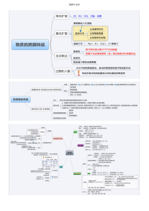 生理学思维导图