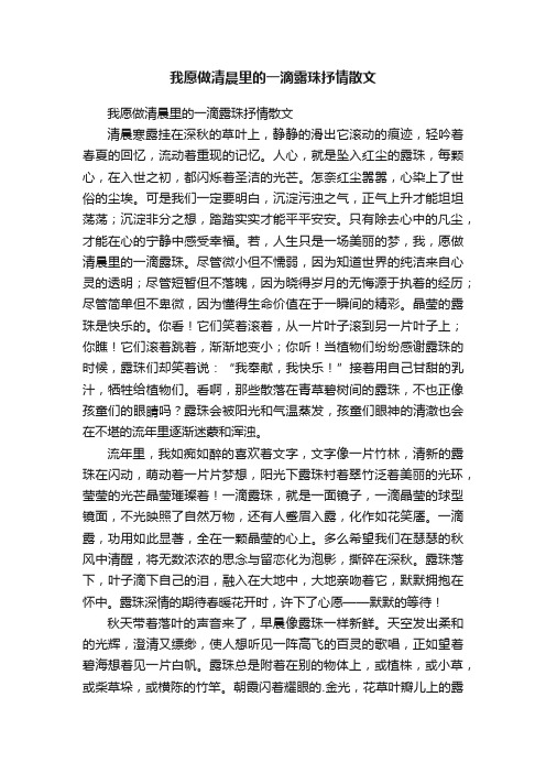 我愿做清晨里的一滴露珠抒情散文