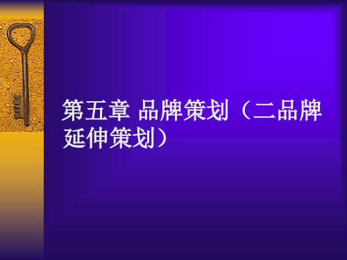 品牌延伸资料