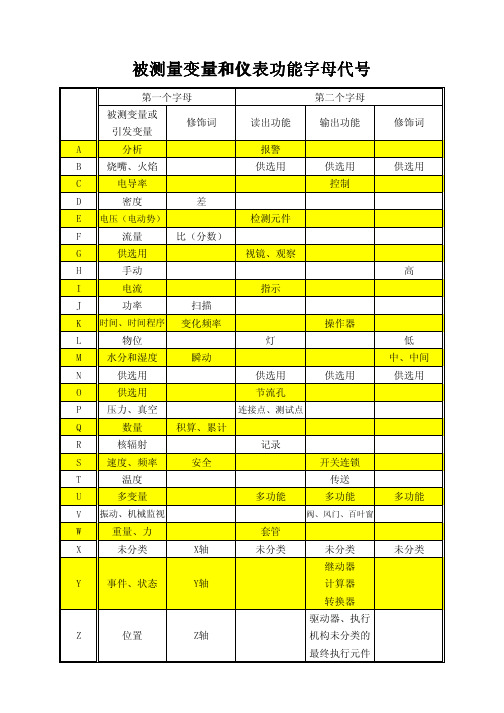 仪表字母代号