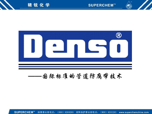 DENSO培训资料[1]