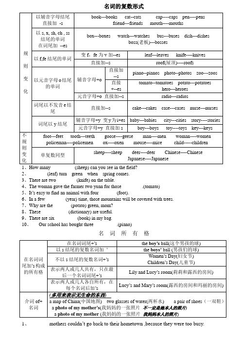 名词的复数形式及所有格