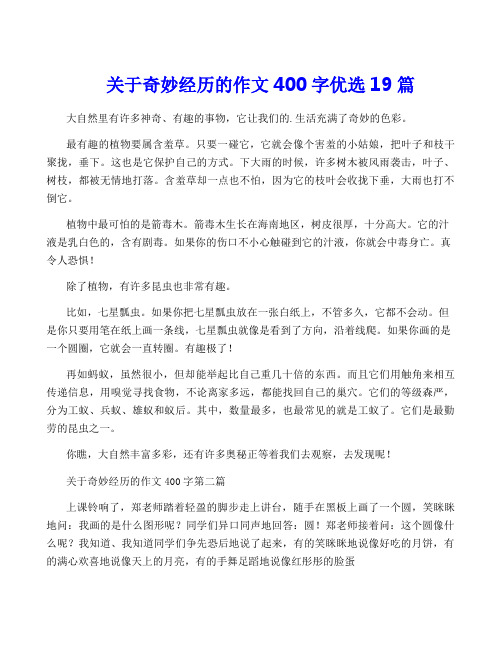 关于奇妙经历的作文400字优选19篇