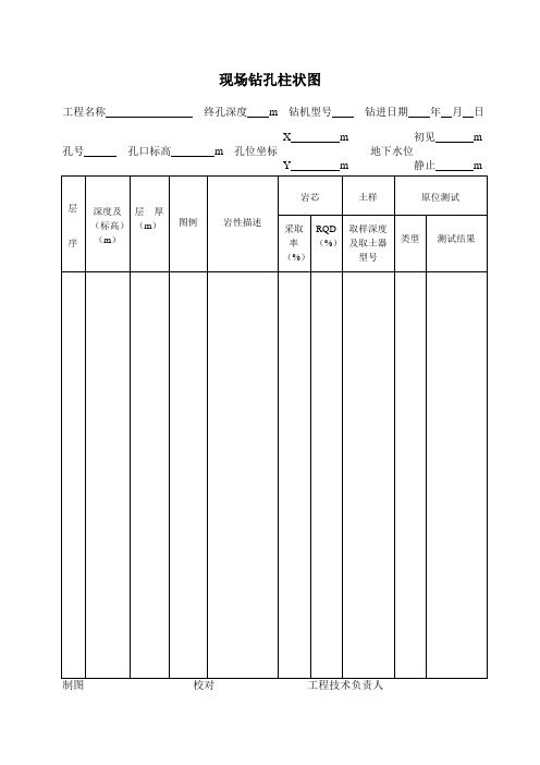 现场钻孔柱状图式