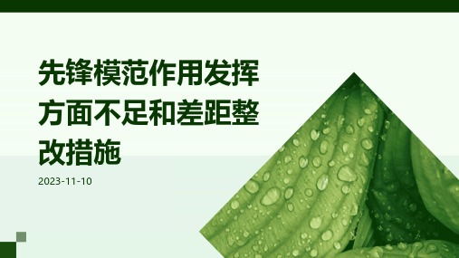 先锋模范作用发挥方面不足和差距整改措施