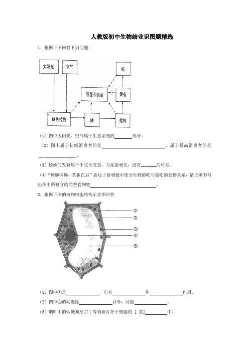 (完整版)人教版初中生物识图专题(整理版)分析