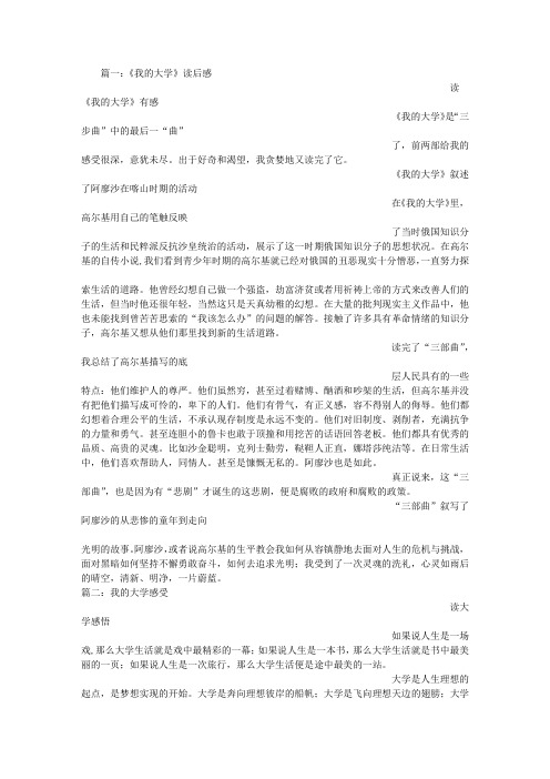 我的大学感受100字