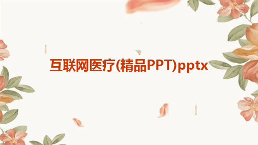 2024版互联网医疗(精品PPT)pptx