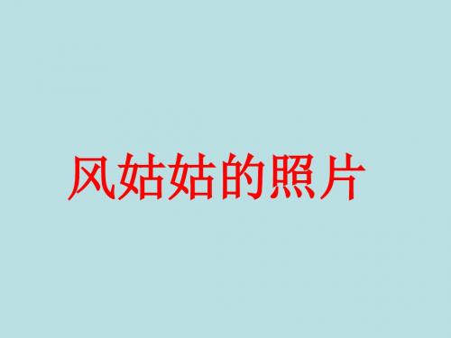 小学语文湘教版二年级下册4 风姑姑的照片