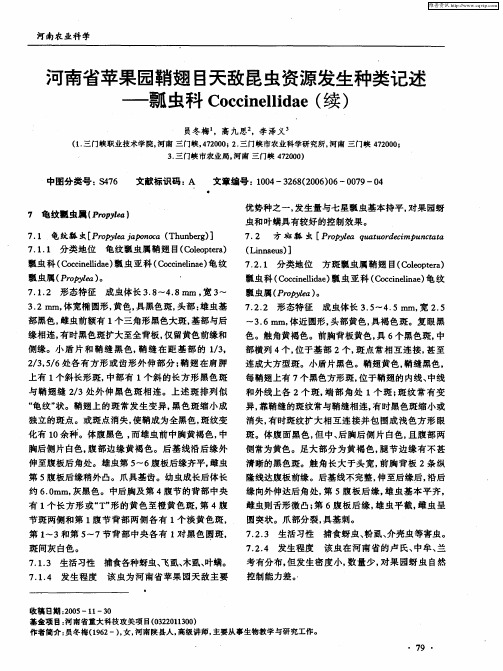 河南省苹果园鞘翅目天敌昆虫资源发生种类记述——瓢虫科Coccinellidae(续)