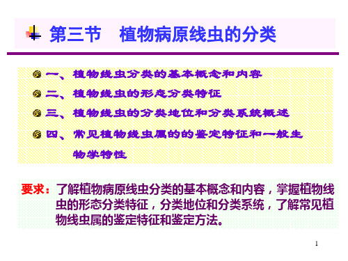 线虫的分类鉴定