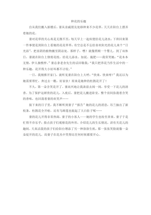 北师大版六年级语文下册《 乐趣  综合活动》公开课教案_0