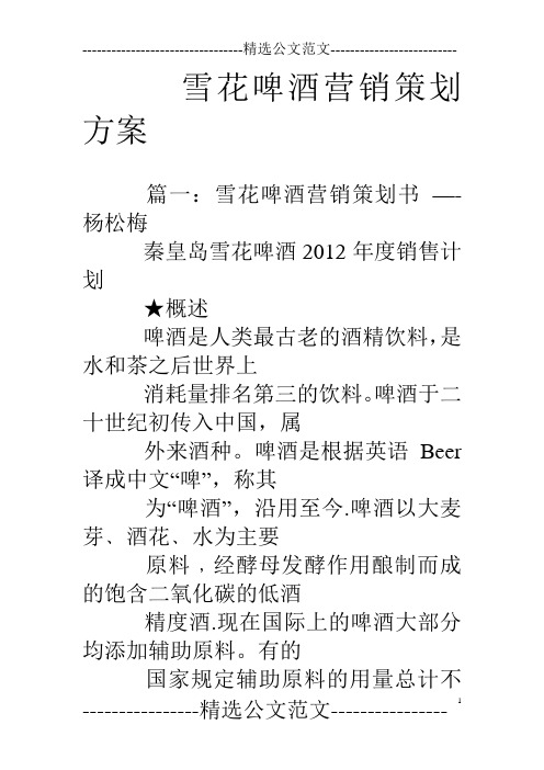 雪花啤酒营销策划方案
