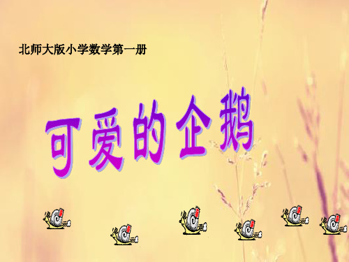 北师大版可爱的企鹅PPT教学课件