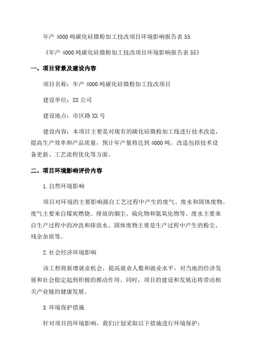 年产4000吨碳化硅微粉加工技改项目环境影响报告表55