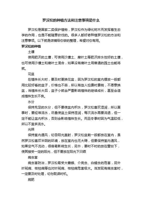 罗汉松的种植方法和注意事项是什么