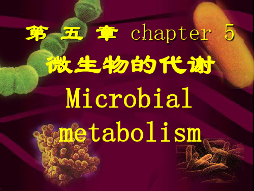 第五章微生物代谢本科-PPT资料66页