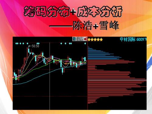 筹码分布+成本分析—陈浩+雪峰