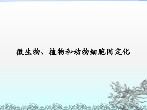 微生物、植物和动物细胞固定化
