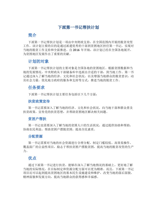 下派第一书记帮扶计划