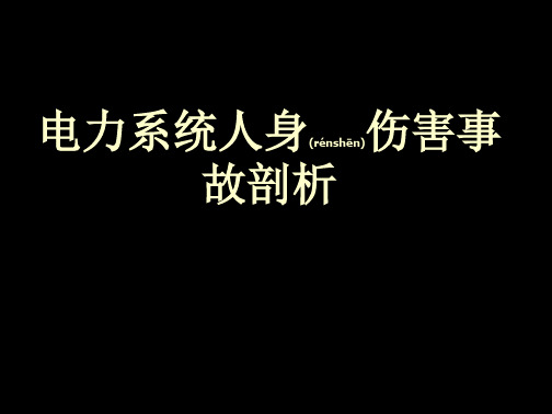 电力系统人身伤害事故剖析