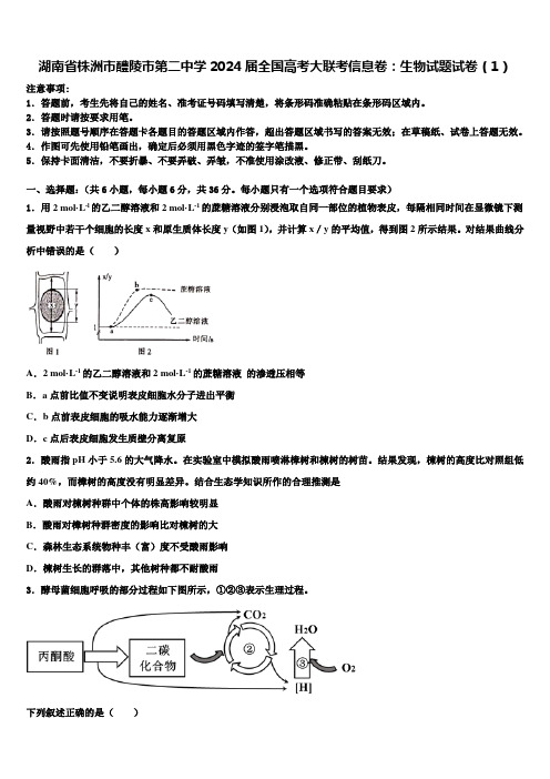 湖南省株洲市醴陵市第二中学2024届全国高考大联考信息卷：生物试题试卷(1)含解析