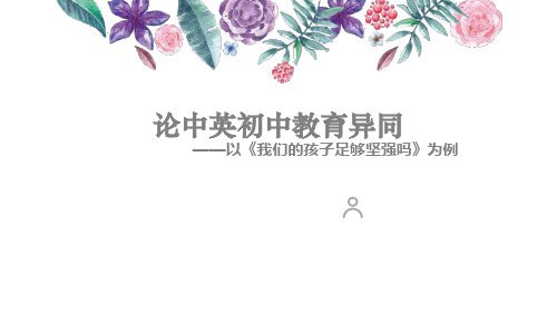 中英初中教学差异分析PPT课件