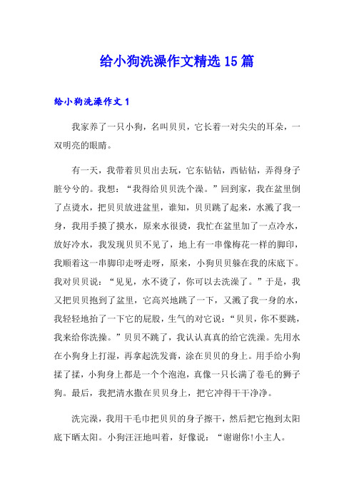 给小狗洗澡作文精选15篇