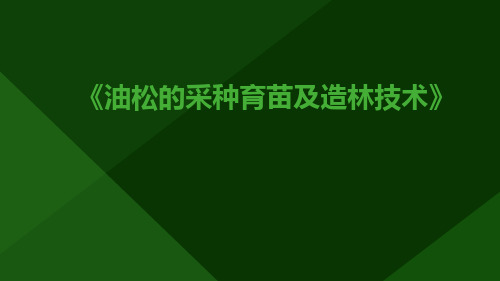 油松的采种育苗及造林技术