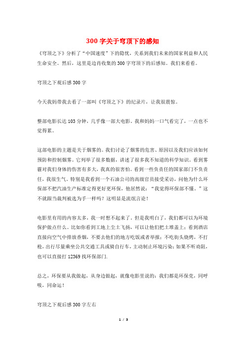 300字关于穹顶下的感知