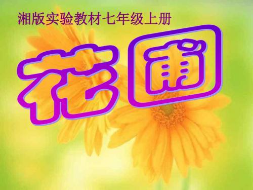 湘教版七年级美术第五课《花圃》