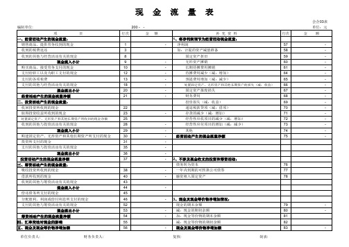 现金流量表样