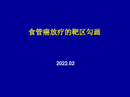 食管癌的放疗进展【53页】