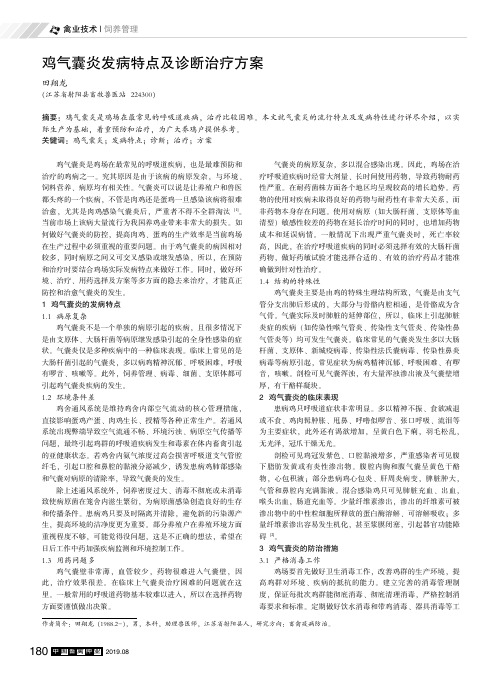 鸡气囊炎发病特点及诊断治疗方案