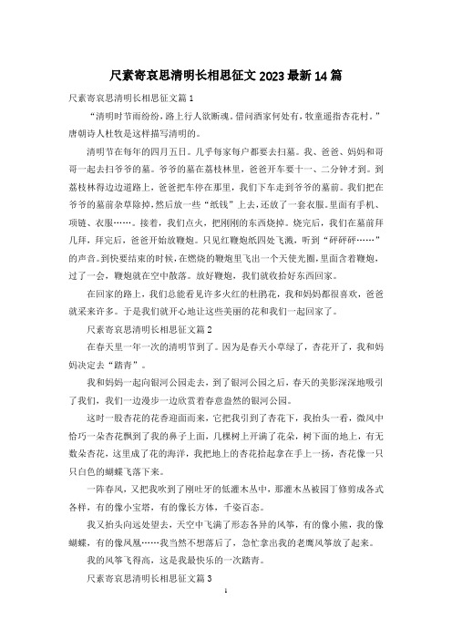 尺素寄哀思清明长相思征文2023最新14篇