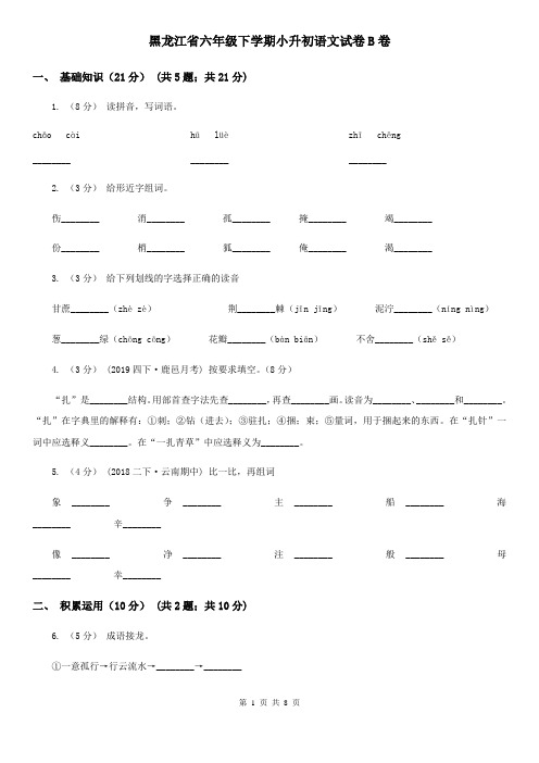 黑龙江省六年级下学期小升初语文试卷B卷