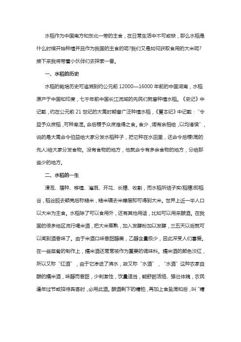 事业单位公共基础知识关于水稻,你知道多少