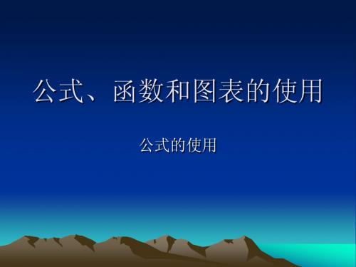 公式、函数和图表