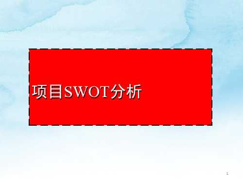 经典SWOT分析案例ppt课件