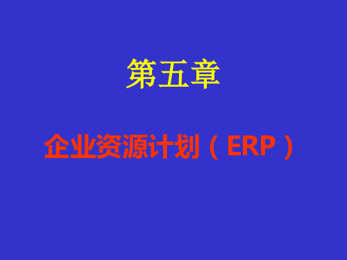 企业资源计划(ERP)PPT