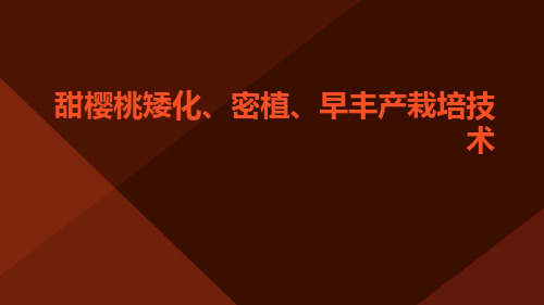 甜樱桃矮化、密植、早丰产栽培技术