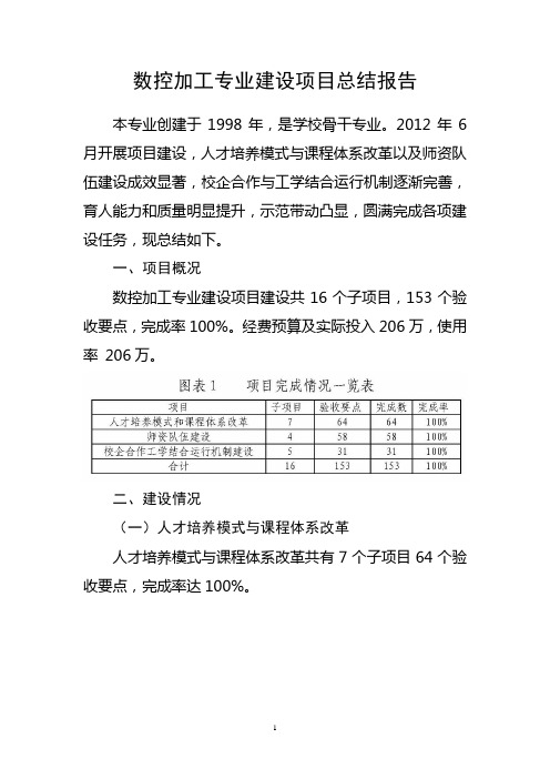 6.数控加工专业建设项目总结报告