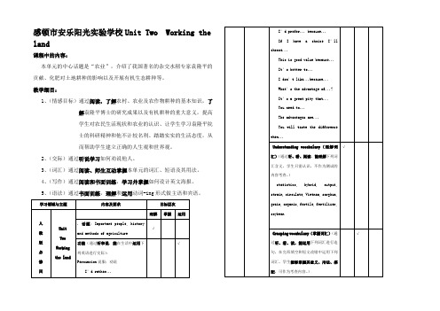 高中英语 Unit Two Working the lan