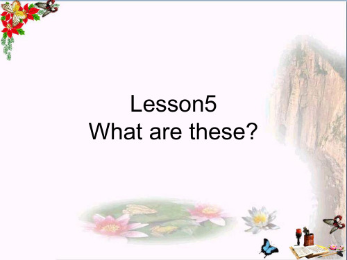 四年级英语下册Lesson5《Whatarethese》 优秀课件1科普版