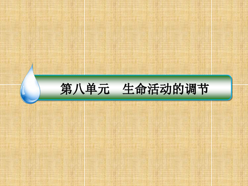 高考生物一轮复习 第八单元 生命活动的调节 第29讲 植物的激素调节名师课件