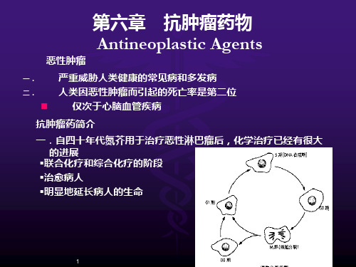 抗肿瘤药物ppt课件