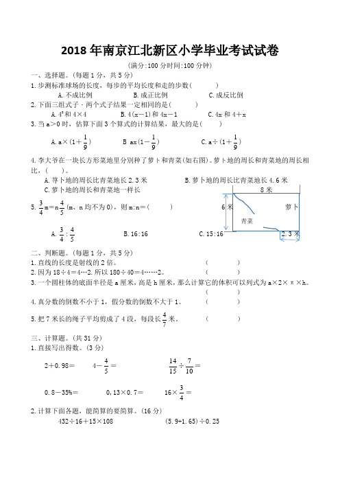 2018年南京江北新区小学毕业考试试卷