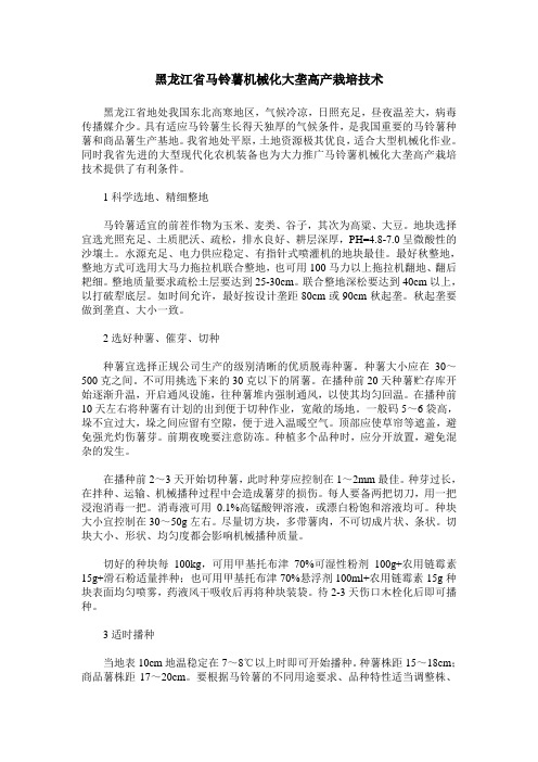 黑龙江省马铃薯机械化大垄高产栽培技术