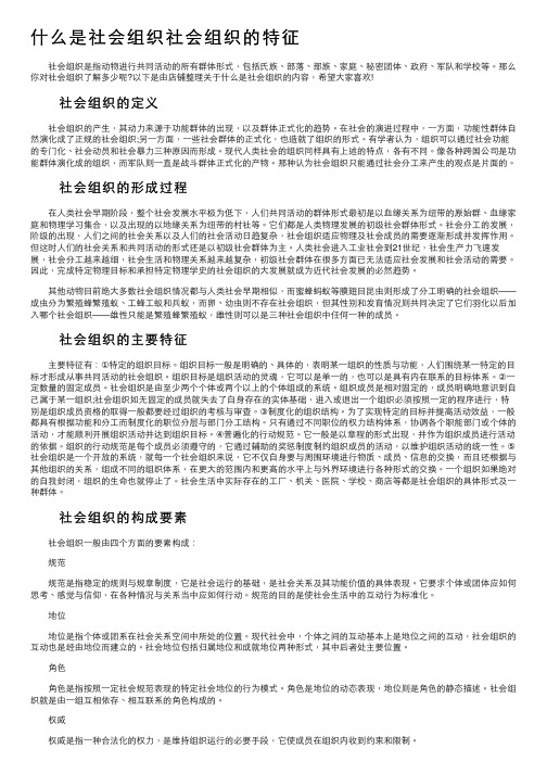 什么是社会组织社会组织的特征